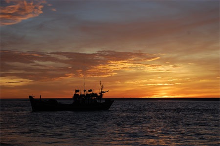 Chùm ảnh: Thuyền về giữa bình minh - 2 Chùm ảnh: Thuyền về giữa bình minh - 2