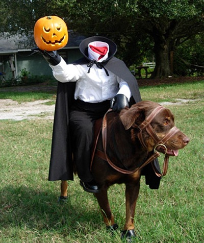 Trang phục Halloween của những chú chó - 2