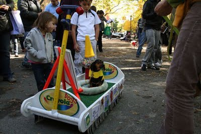 Trang phục Halloween của những chú chó - 5