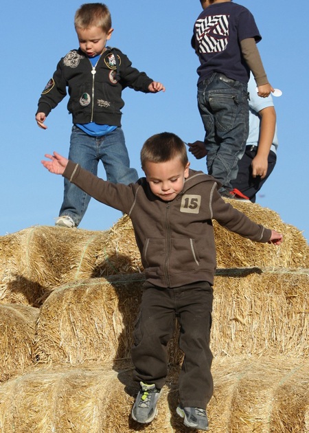 Hai nhóc nhà Britney đi chơi Halloween - 1