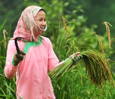 Hút hồn nụ cười sơn cước - 11