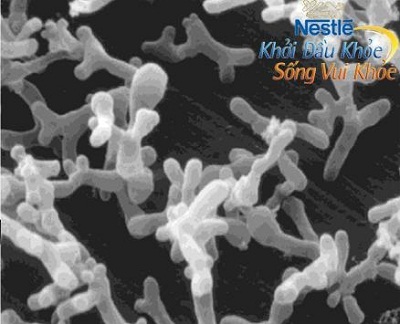 Probiotics và vai trò chống bệnh nhiễm khuẩn, dị ứng ở trẻ em - 1 Probiotics và vai trò chống bệnh nhiễm khuẩn, dị ứng ở trẻ em - 1