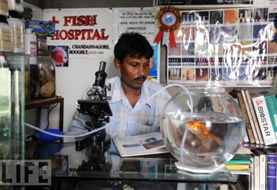 Bệnh viện đầu tiên dành cho cá - 3