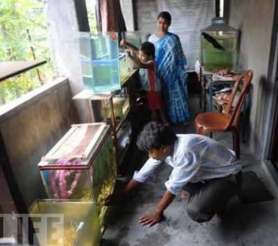 Bệnh viện đầu tiên dành cho cá - 1