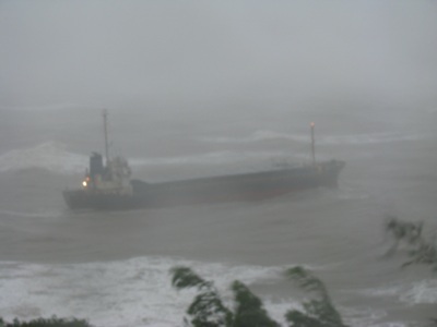 Bão Mirinae suy yếu thành áp thấp - 3