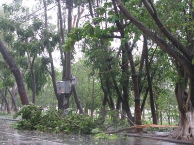 Bão Mirinae suy yếu thành áp thấp - 2