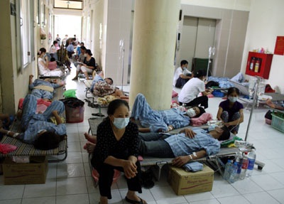 Thêm 1 thanh niên trẻ khỏe tử vong vì virus H1N1 - 1 Thêm 1 thanh niên trẻ khỏe tử vong vì virus H1N1 - 1
