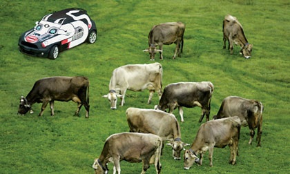 MINI ra mắt bộ sưu tập xe nghệ thuật “Wash me” - 3 MINI ra mắt bộ sưu tập xe nghệ thuật “Wash me” - 3