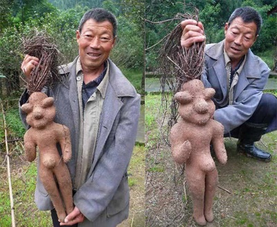 Củ hà thủ ô mang hình người - 1