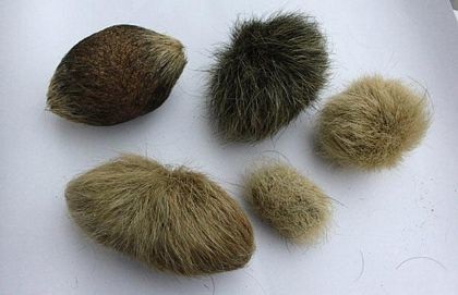 Những hình ảnh ấn tượng trong tuần - 5