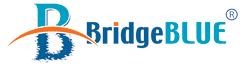 Hội thảo với đại diện tập đoàn giáo dục quốc tế Raffles tại Bridge Blue Hà Nội - 1 Hội thảo với đại diện tập đoàn giáo dục quốc tế Raffles tại Bridge Blue Hà Nội - 1