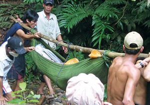 Máu và nước mắt chảy theo vàng - 2