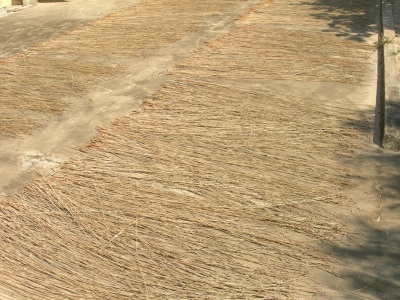 Ngang qua làng chiếu - 2 Ngang qua làng chiếu - 2