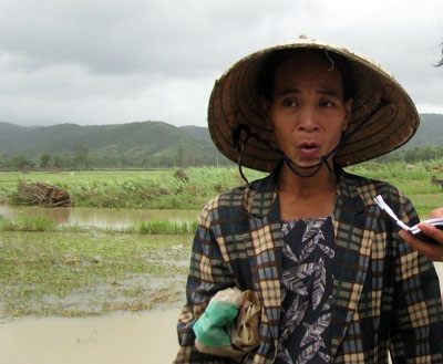 Thoát chết thần kỳ nhờ cái... đuôi bò - 1