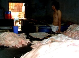 Phát hiện bì heo phân hủy chế biến thành thực phẩm - 1 Phát hiện bì heo phân hủy chế biến thành thực phẩm - 1