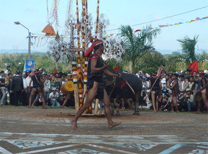 “Thót tim” xem lễ đâm trâu  - 6