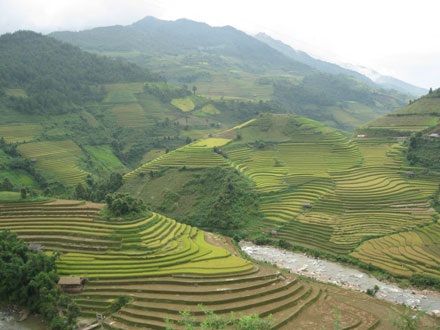 Sững sờ vẻ đẹp ruộng bậc thang Mù Căng Chải - 3 Sững sờ vẻ đẹp ruộng bậc thang Mù Căng Chải - 3