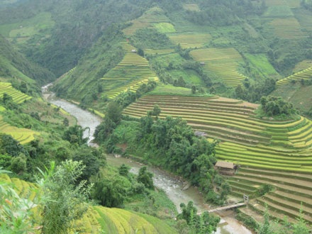 Sững sờ vẻ đẹp ruộng bậc thang Mù Căng Chải - 4 Sững sờ vẻ đẹp ruộng bậc thang Mù Căng Chải - 4