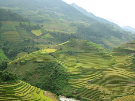 Sững sờ vẻ đẹp ruộng bậc thang Mù Căng Chải - 5 Sững sờ vẻ đẹp ruộng bậc thang Mù Căng Chải - 5