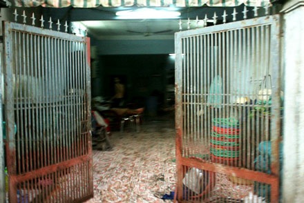 Hãi hùng “mục kích” lò bún - 1 Hãi hùng “mục kích” lò bún - 1