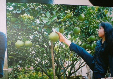 “Họ đã sống như thế” - 9