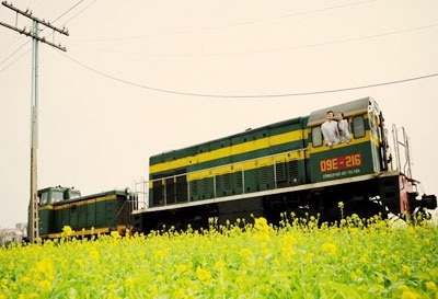 “Mùa vàng hoa cải” xôn xao cả... diễn đàn - 6