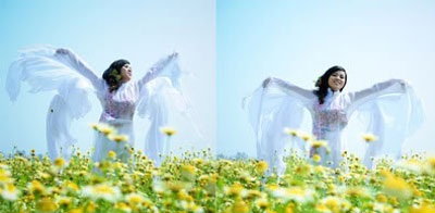 “Mùa vàng hoa cải” xôn xao cả... diễn đàn - 1