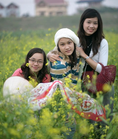 “Mùa vàng hoa cải” xôn xao cả... diễn đàn - 5