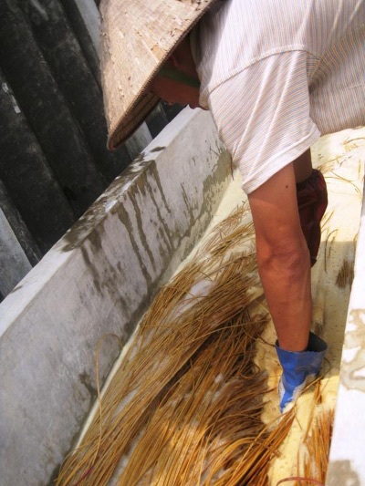 Một ngày ở làng nghề “đan guột” - 2 Một ngày ở làng nghề “đan guột” - 2