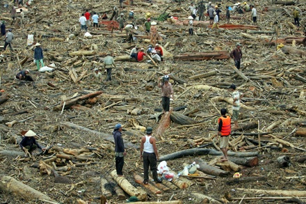 Hàng vạn m3 gỗ nhiều năm ngâm dưới lòng sông - 1