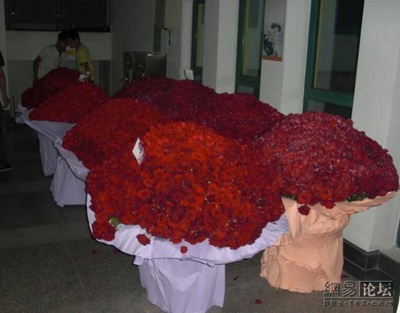 Lời tỏ tình “chở” bằng… xe tải - 3