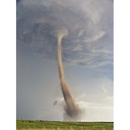 Những hình ảnh ấn tượng trong tuần  - 14