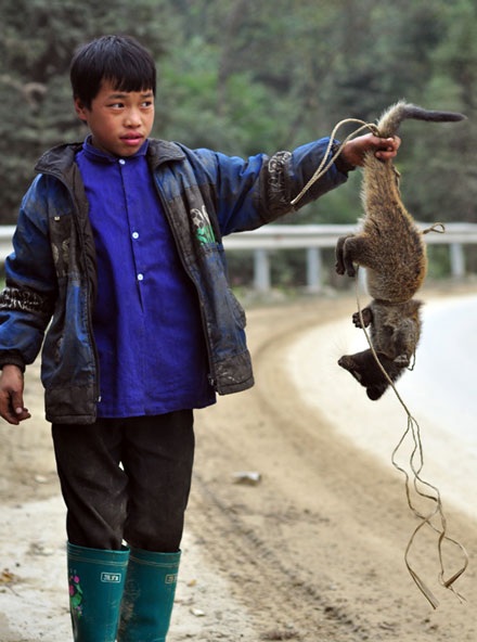 Nhịp sống Sa Pa trong giá rét - 6 Nhịp sống Sa Pa trong giá rét - 6