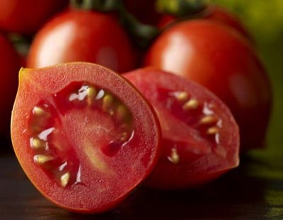 Lai tạo thành công cà chua ngọt hơn đào chín - 1 Lai tạo thành công cà chua ngọt hơn đào chín - 1