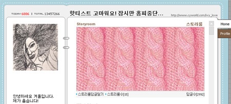 Bị cư dân mạng phản đối, Ivy tạm đóng cửa website - 1 Bị cư dân mạng phản đối, Ivy tạm đóng cửa website - 1