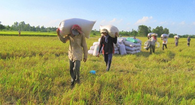 Bài 1: “Người hùng” của nông dân - 1 Bài 1: “Người hùng” của nông dân - 1