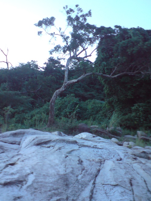 Một thoáng Sơn Kim  - 13