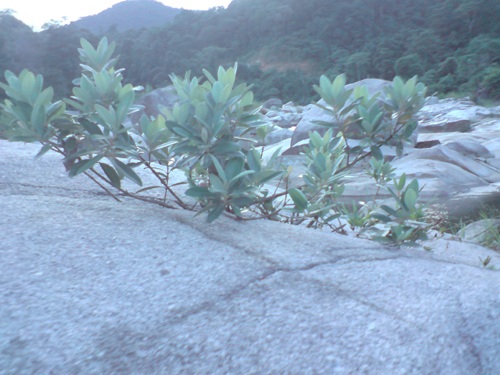 Một thoáng Sơn Kim  - 3