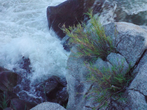 Một thoáng Sơn Kim  - 8