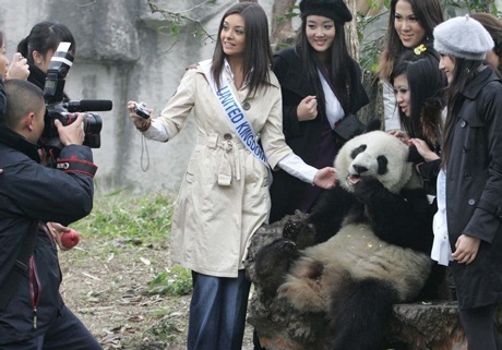 Người đẹp Hoa hậu Quốc tế chơi với gấu trúc - 5 Người đẹp Hoa hậu Quốc tế chơi với gấu trúc - 5