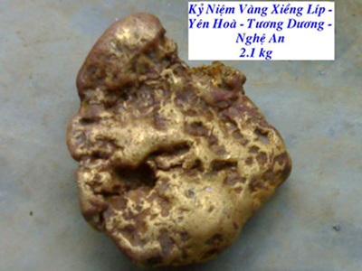 Đi rẫy nhặt được cục vàng khổng lồ - 1