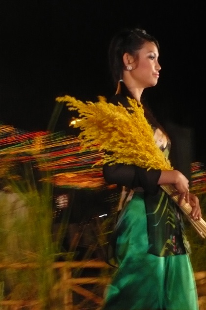 Người đẹp “khoe” áo bà ba trong Festival Lúa gạo  - 4