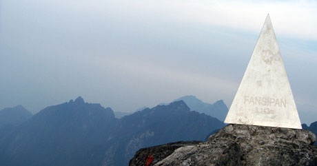 Thưởng lãm vẻ đẹp cây rừng quý hiếm ở độ cao trên 2000m - 10