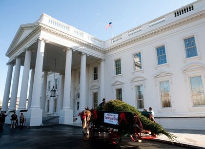 Nhà Trắng đón cây thông Noel - 3 Nhà Trắng đón cây thông Noel - 3