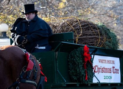 Nhà Trắng đón cây thông Noel - 1 Nhà Trắng đón cây thông Noel - 1