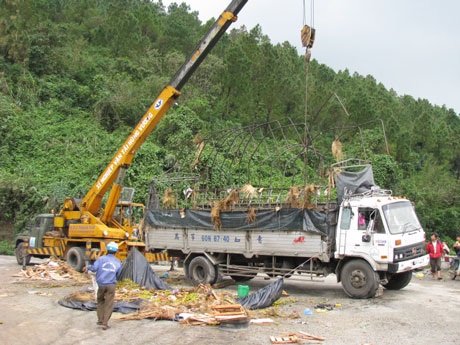 Lật xe tải, lái xe may mắn thoát chết - 3 Lật xe tải, lái xe may mắn thoát chết - 3