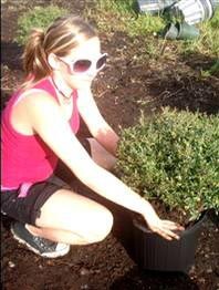 Cô bé 13 tuổi là nạn nhân của “sexting” - 1 Cô bé 13 tuổi là nạn nhân của “sexting” - 1