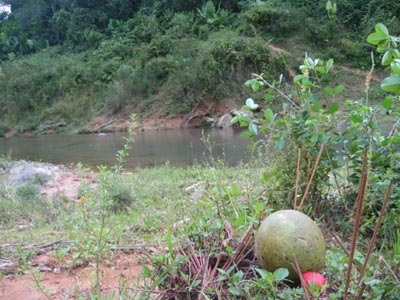 Cảm phục những người trẻ gieo chữ giữa đại ngàn - 2