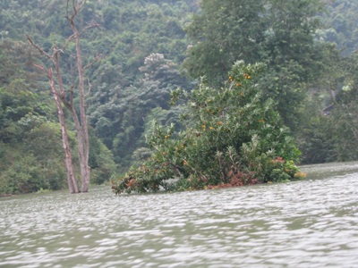 Nậm Nơn mênh mông nước nổi - 8