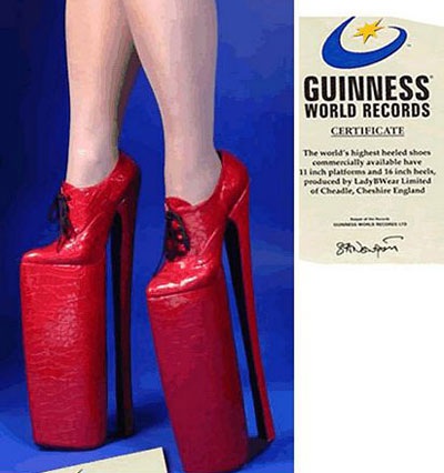 Những kỷ lục thế giới thú vị về chiều cao - 4 Những kỷ lục thế giới thú vị về chiều cao - 4